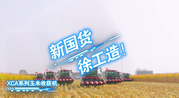 ʱZ6(й)ǲ!